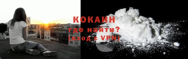 твердый Арсеньев