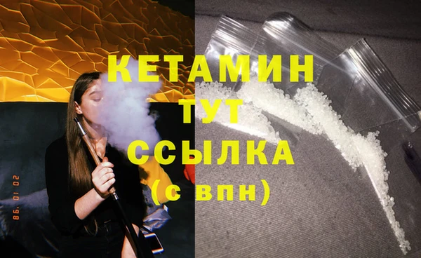 твердый Арсеньев