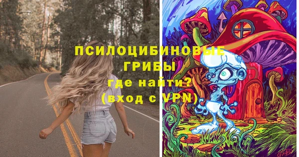твердый Арсеньев