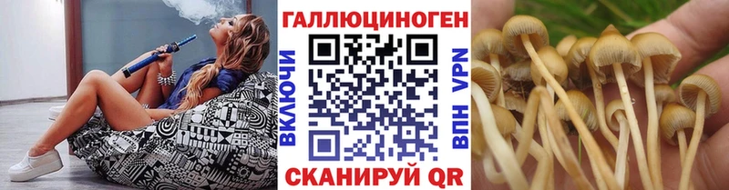 цены наркотик  Николаевск  Галлюциногенные грибы Cubensis 
