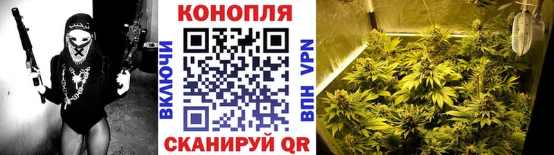 Бошки марихуана VHQ Николаевск